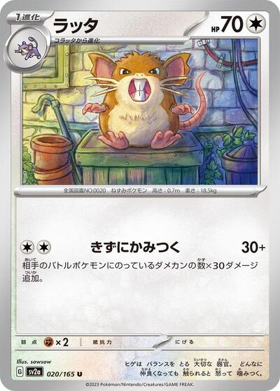 Japanese Pokémon card: Raticate 020/165 from 151 (SV2a) (Uncommon), Colorless type, front of card