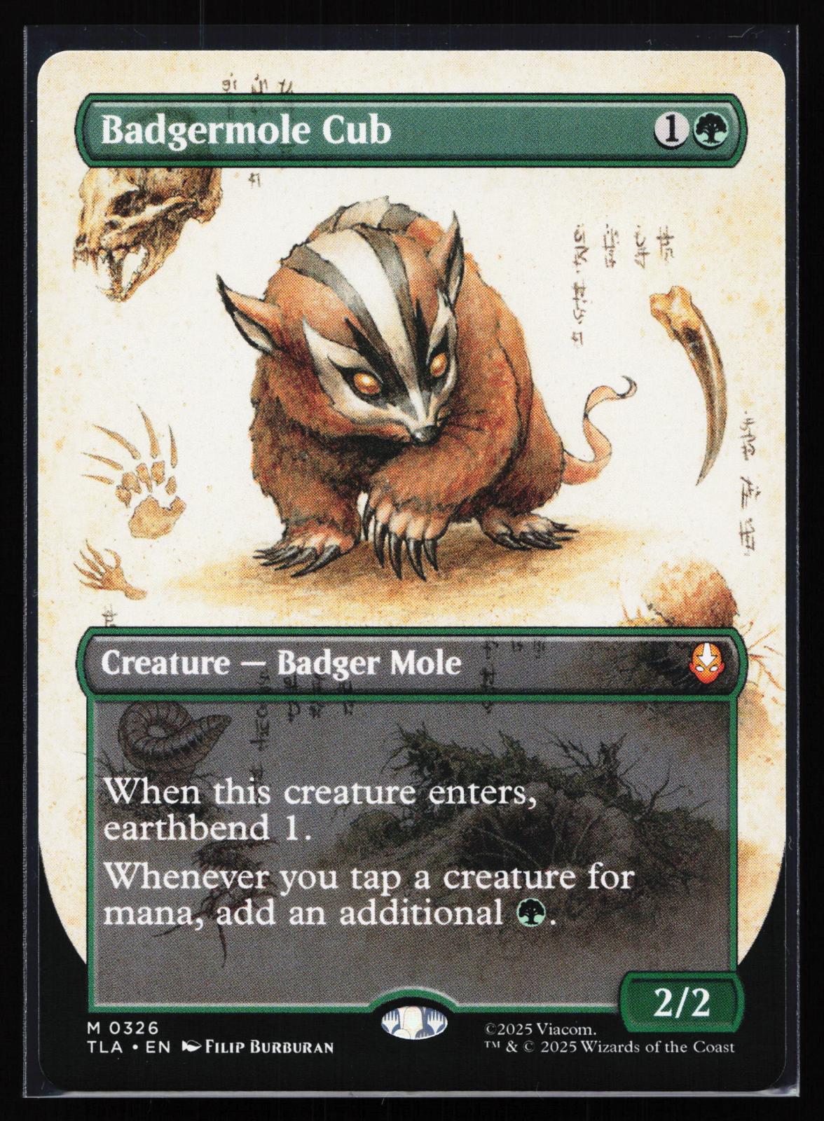 Magic: The Gathering card: Avatar: The Last Airbender 326 Badgermole Cub (Borderless) Mythic, front of card