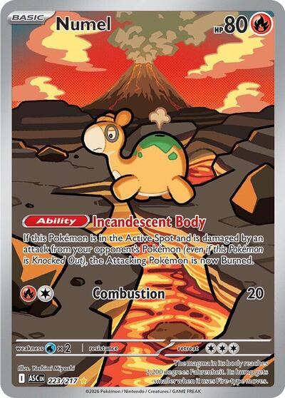 Pokémon card: Numel 223/217 from Ascended Heroes (Illustration Rare), Fire type, front of card
