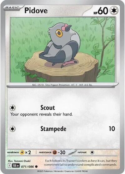 Pokémon card: Pidove 071/086 from Black Bolt (Common), Colorless type, front of card