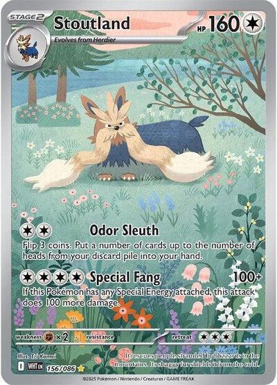 Pokémon card: Stoutland 156/086 from White Flare (Illustration Rare), Colorless type, front of card